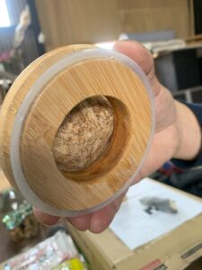 水耕栽培カラーピンク