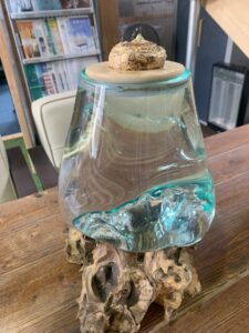 水耕栽培カラーピンク