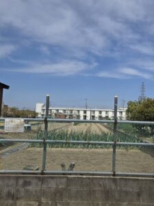 池島の農園