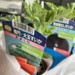 池島の農園
